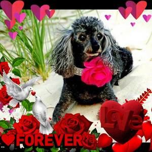 Meet your Posher, Becca